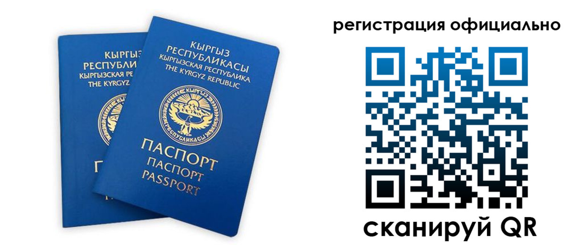 прописка поиск в Егорьевске